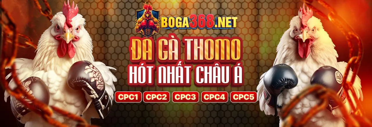 Sân vận động với trận đấu bóng đá đang diễn ra sôi động tại loto66