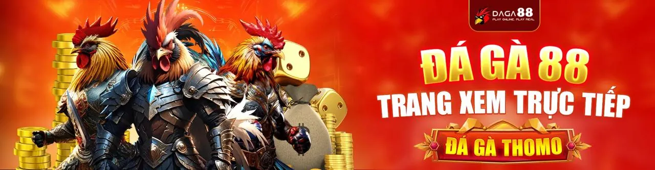 Đá gà trực tiếp Loto66